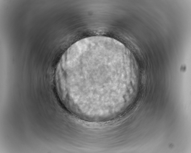 X0000098210030200805221637