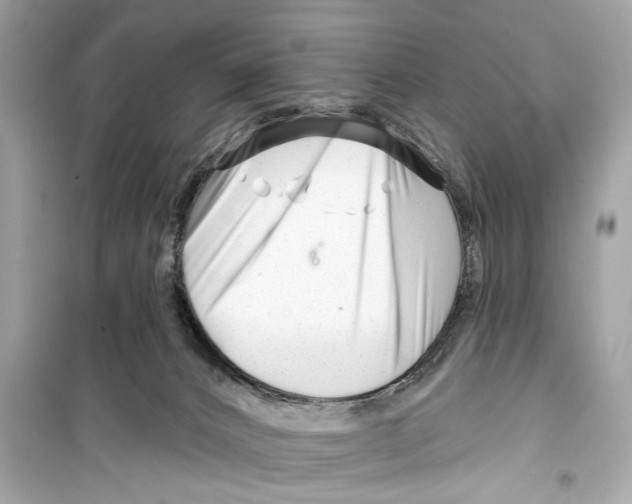 X0000098210032200805221637