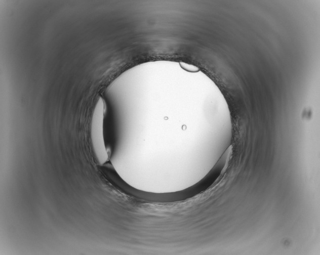 X0000098210033200805221637