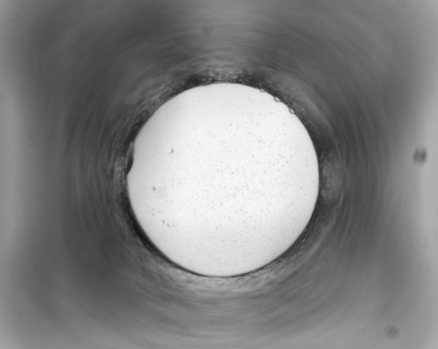 X0000098210034200805221637