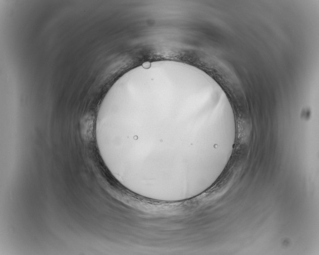 X0000098210036200805221637
