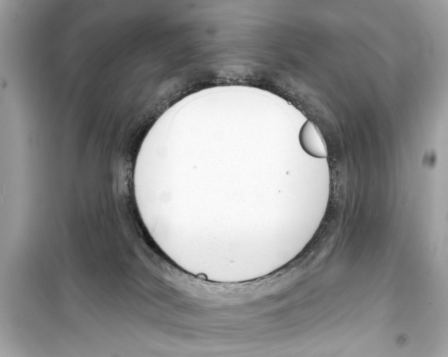 X0000098210038200805221636