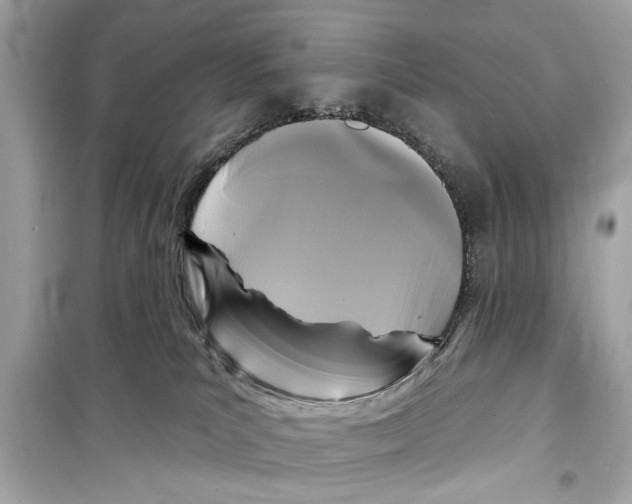 X0000098210039200805221636