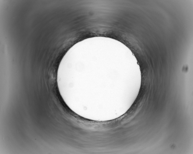 X0000098210040200805221636