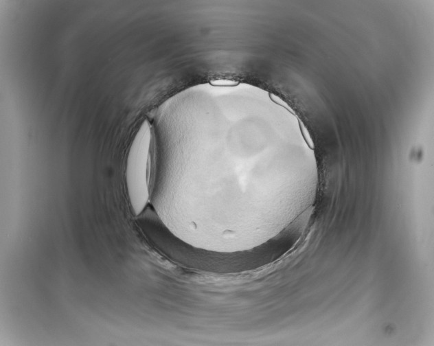 X0000098210041200805221636