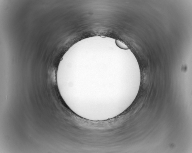 X0000098210042200805221636