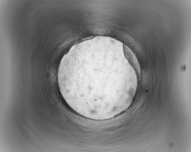 X0000098210043200805221636