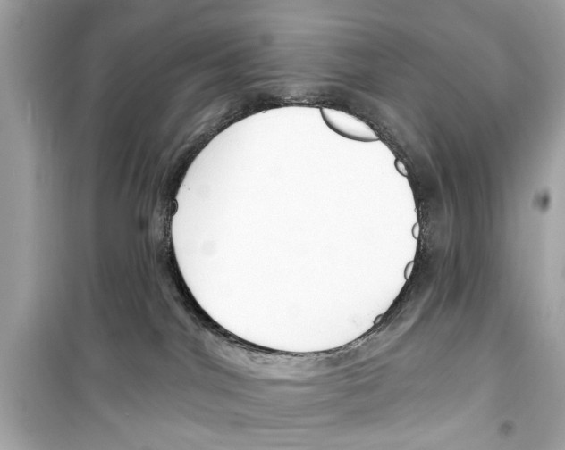 X0000098210044200805221636