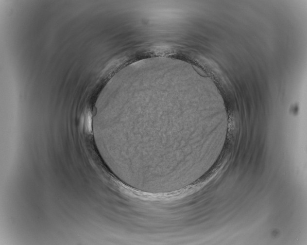 X0000098210046200805221636
