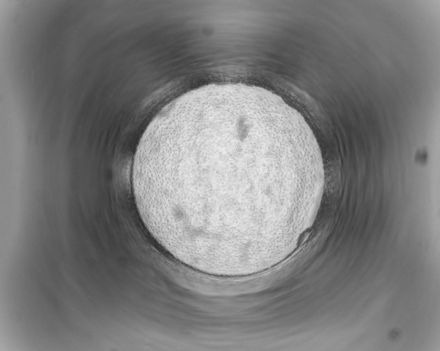 X0000098210047200805221636