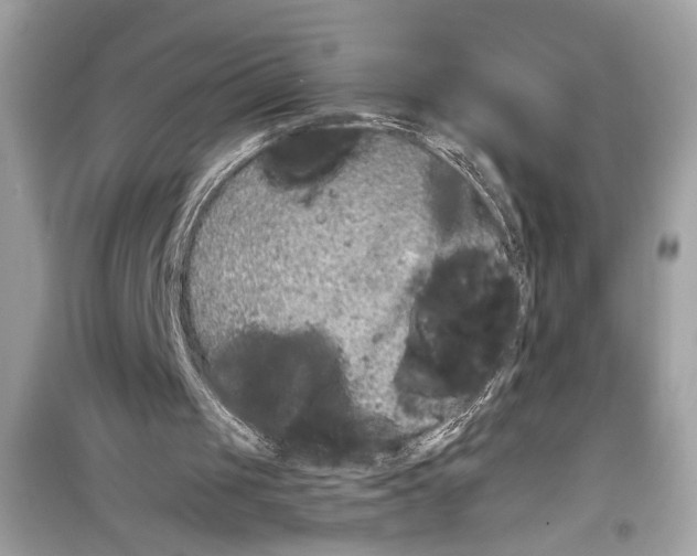 X0000098210049200805221636