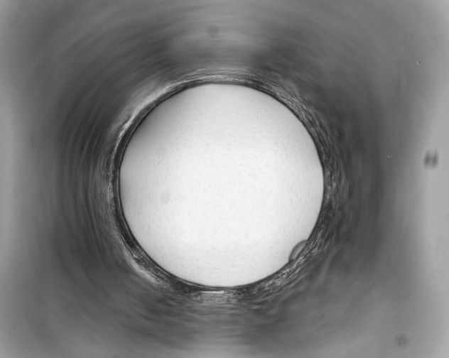 X0000098210050200805221636