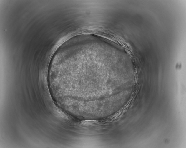 X0000098210051200805221636