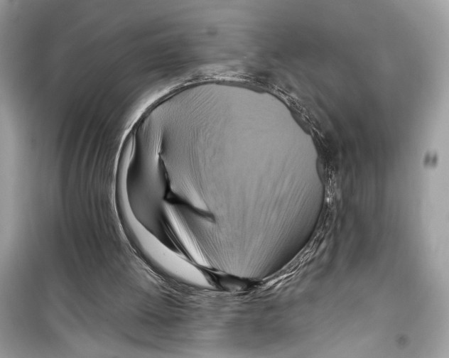 X0000098210052200805221636