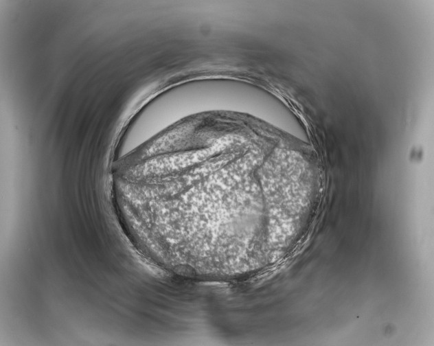 X0000098210053200805221636