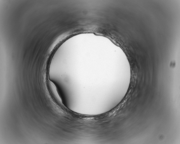 X0000098210054200805221636