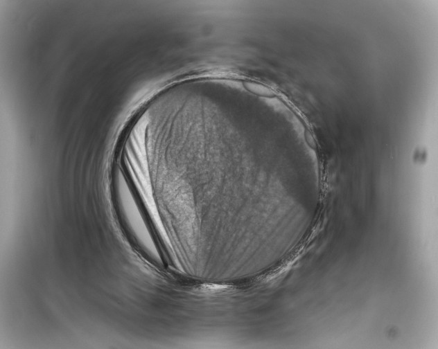 X0000098210055200805221636