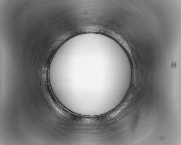 X0000098210057200805221636