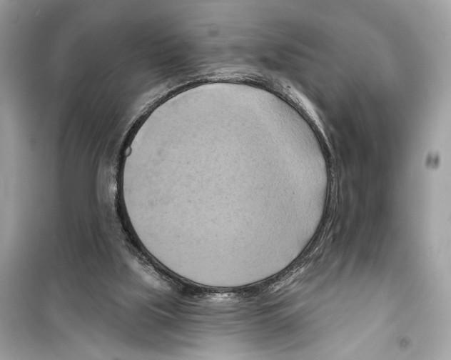 X0000098210059200805221636