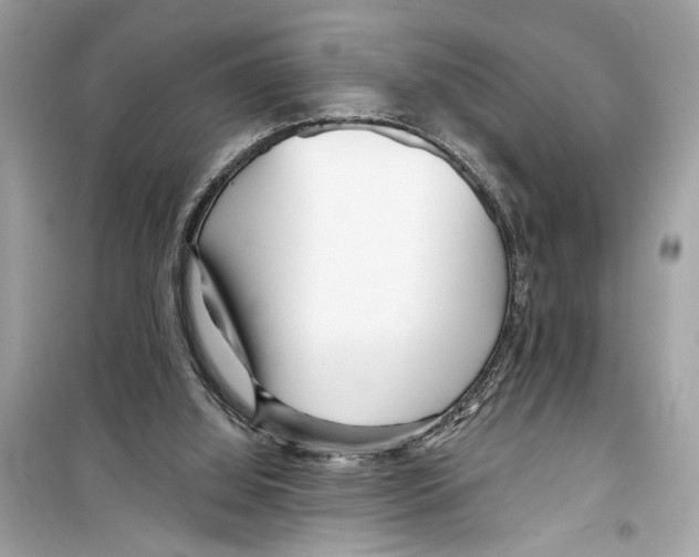 X0000098210060200805221636