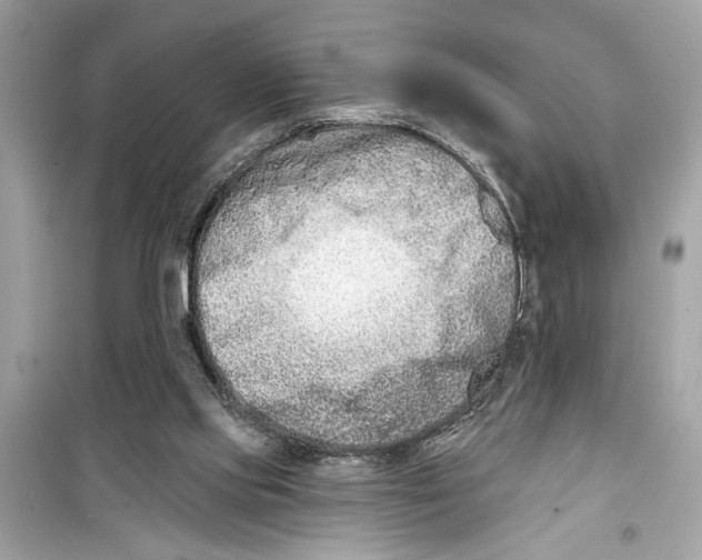 X0000098210061200805221636