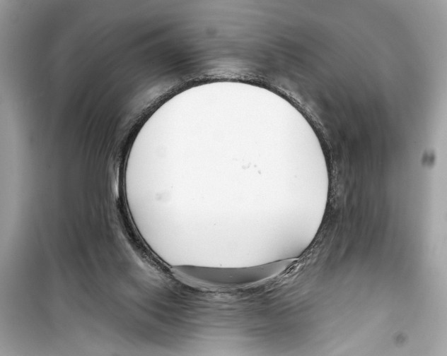 X0000098210062200805221636