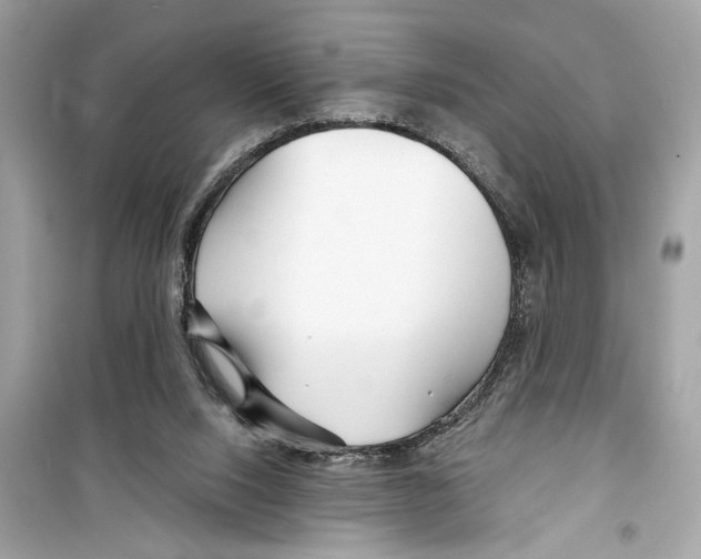 X0000098210064200805221636