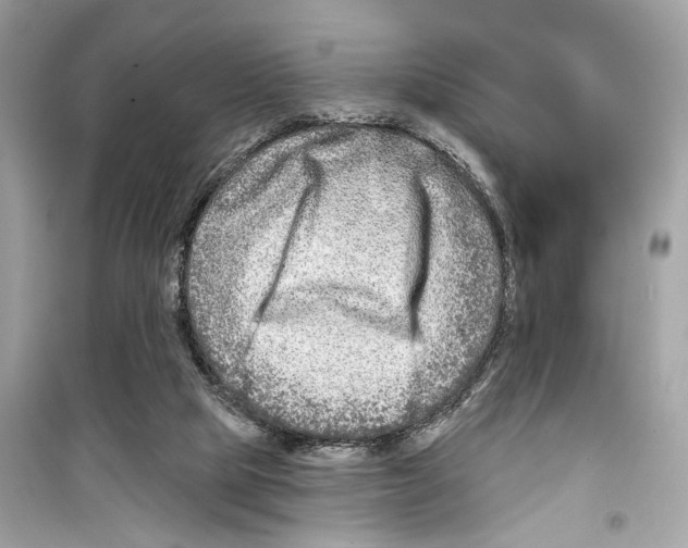 X0000098210065200805221636