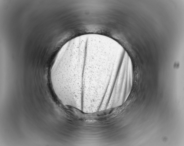 X0000098210066200805221636