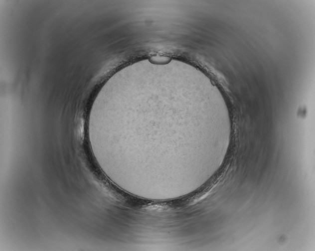 X0000098210067200805221636