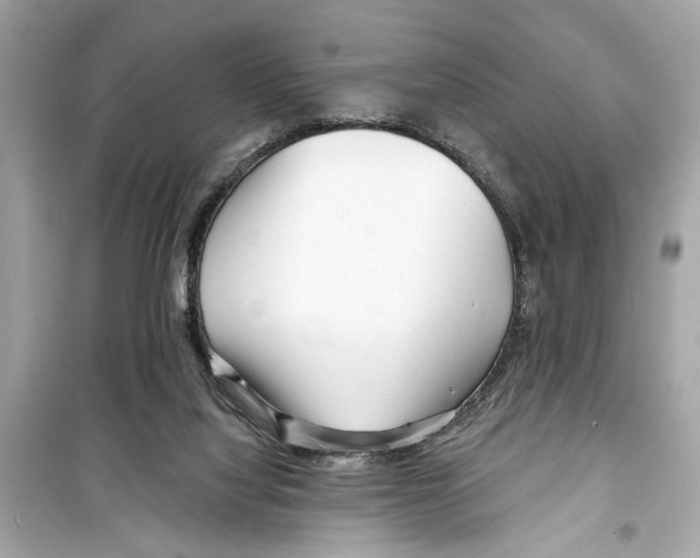 X0000098210068200805221636