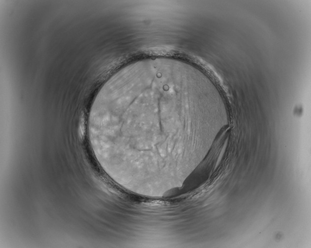 X0000098210069200805221636
