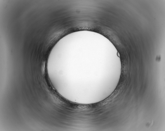 X0000098210070200805221636