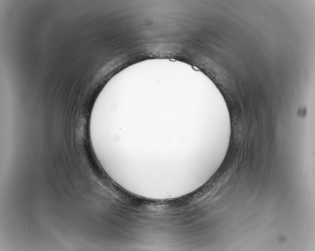 X0000098210071200805221636