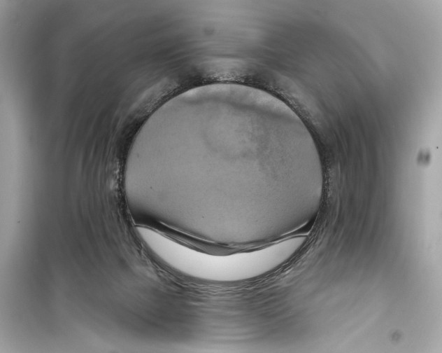 X0000098210073200805221636