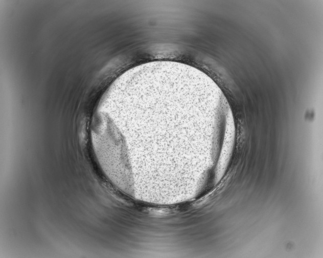 X0000098210074200805221636
