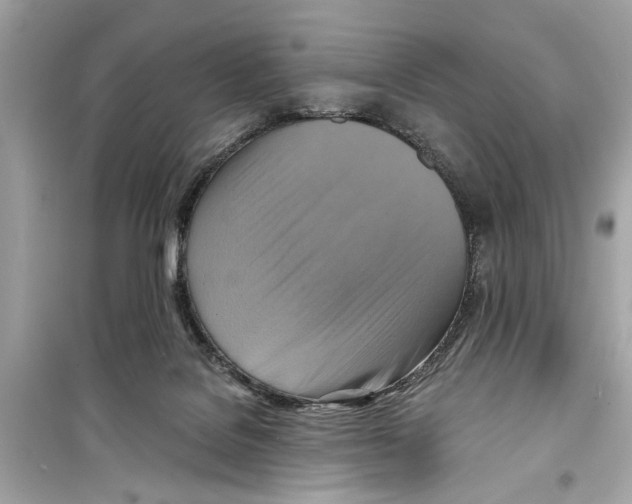 X0000098210076200805221636