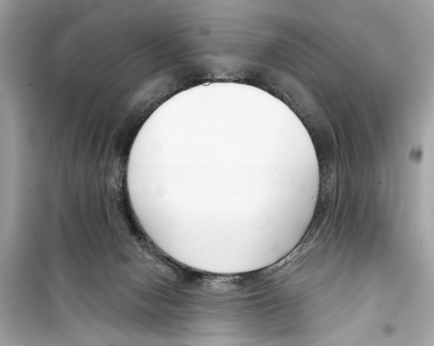 X0000098210078200805221636