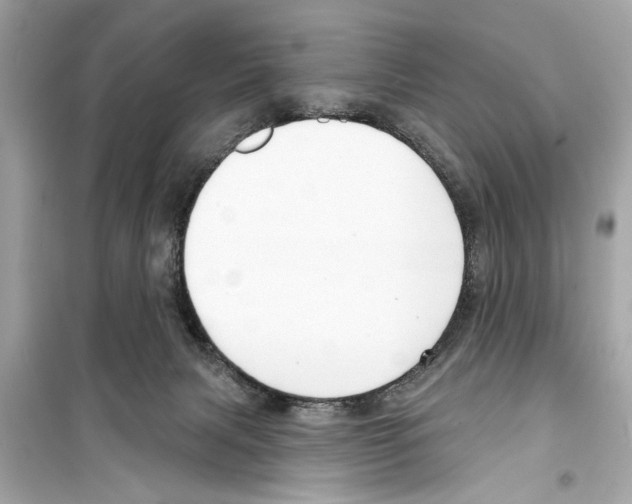X0000098210079200805221636