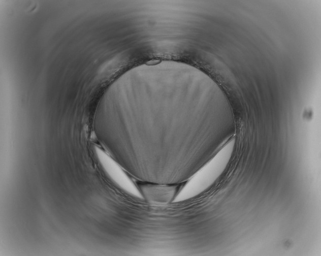 X0000098210080200805221636