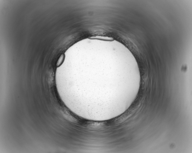 X0000098210081200805221636