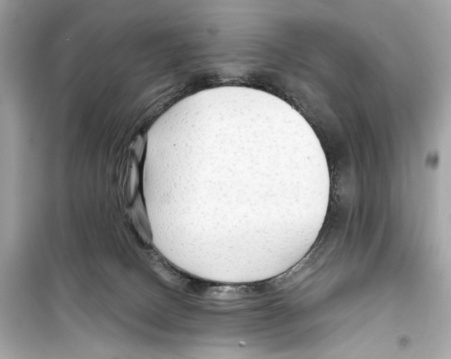 X0000098210082200805221636