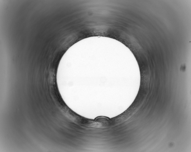 X0000098210083200805221636