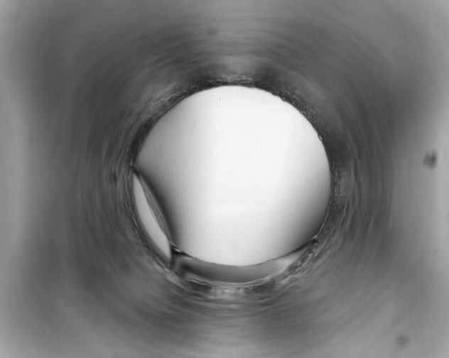 X0000098210084200805221636