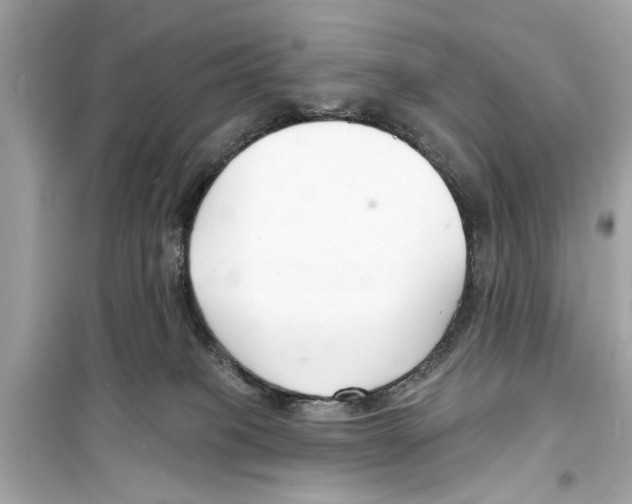 X0000098210085200805221636