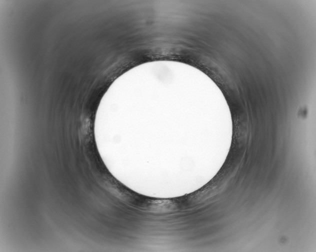 X0000098210087200805221636