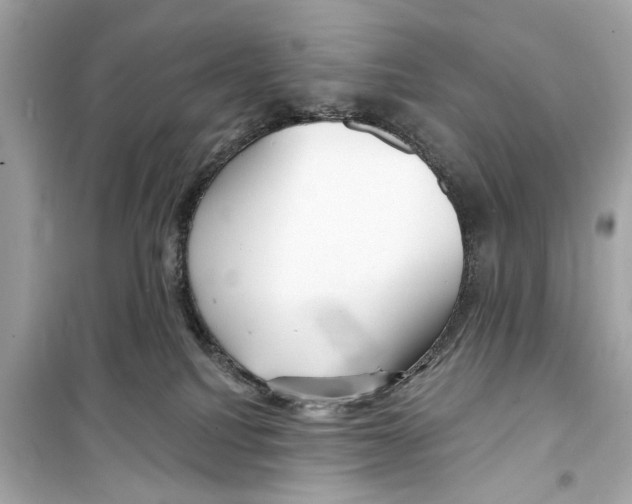X0000098210088200805221636