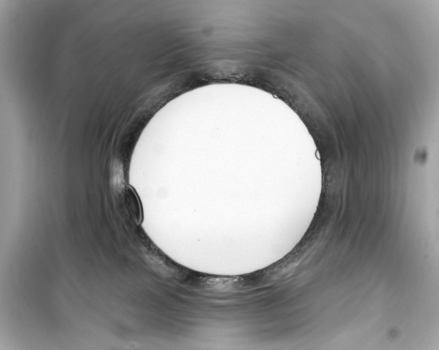 X0000098210089200805221636