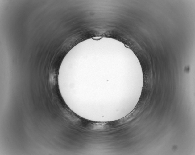 X0000098210090200805221636