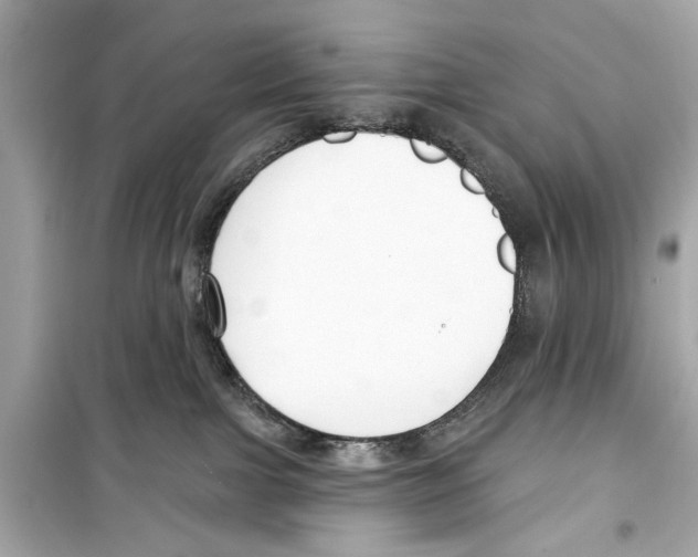 X0000098210091200805221636